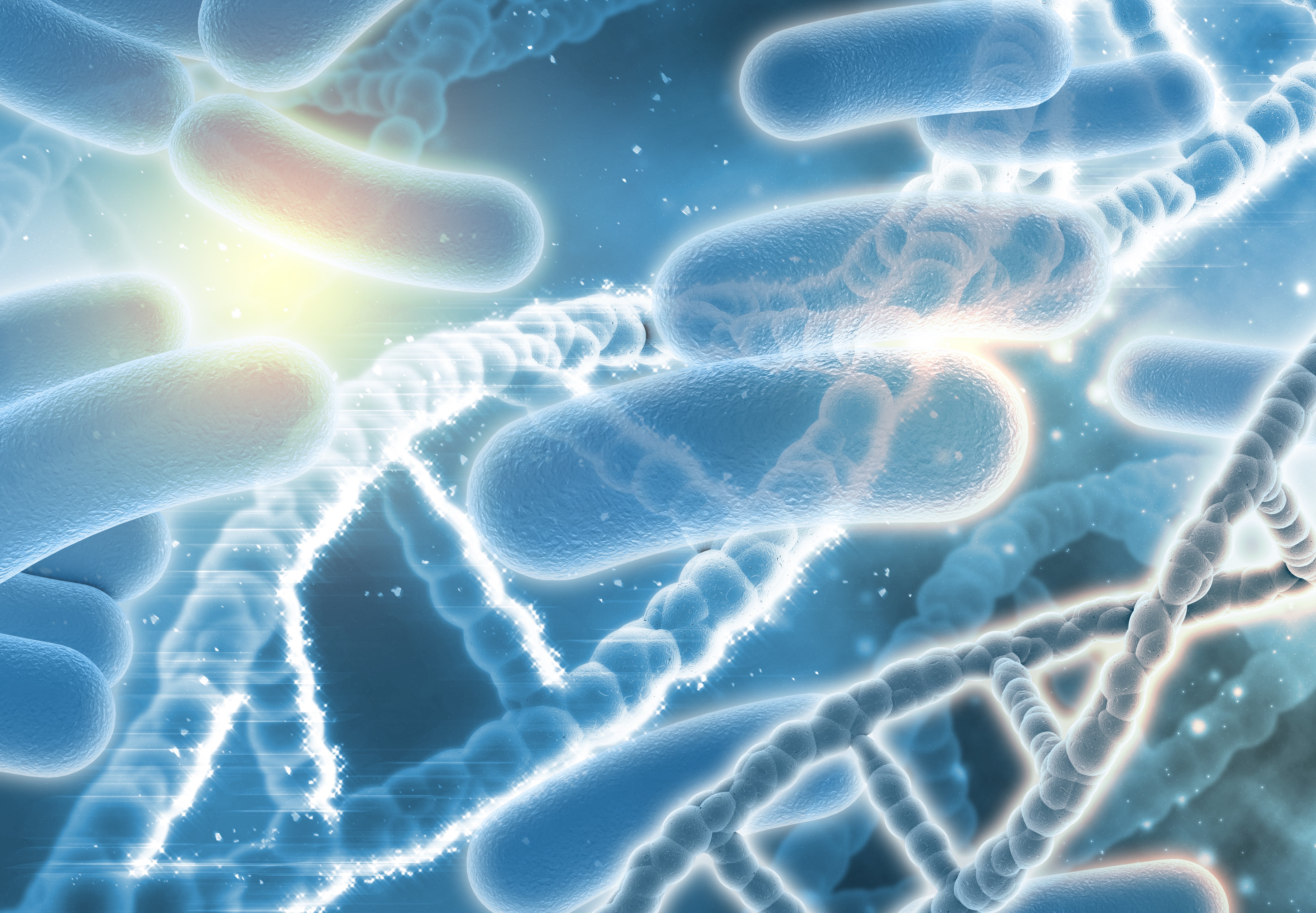 Gut Health Insights