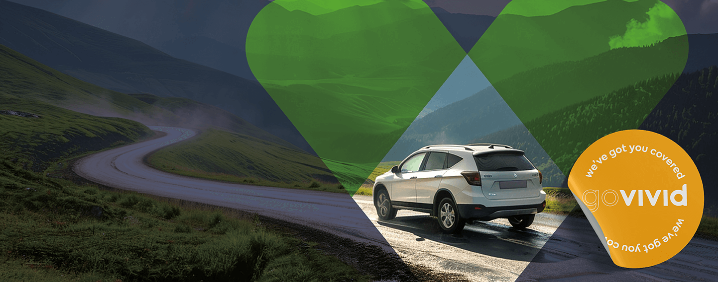 Terms and Conditions